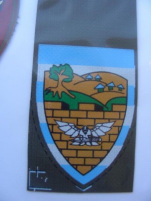 65.jpg