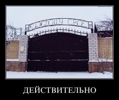 4e0k84dvnsk8.jpg