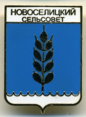 img348 Новоселицкий сельсовет.jpg