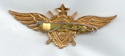 летчик 1 кл 95г заколка (1).jpg