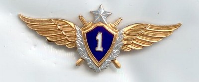 летчик 1 кл 95г заколка.jpg