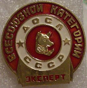Изображение 568.jpg