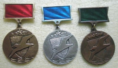 Буревестник Облсовет.jpg